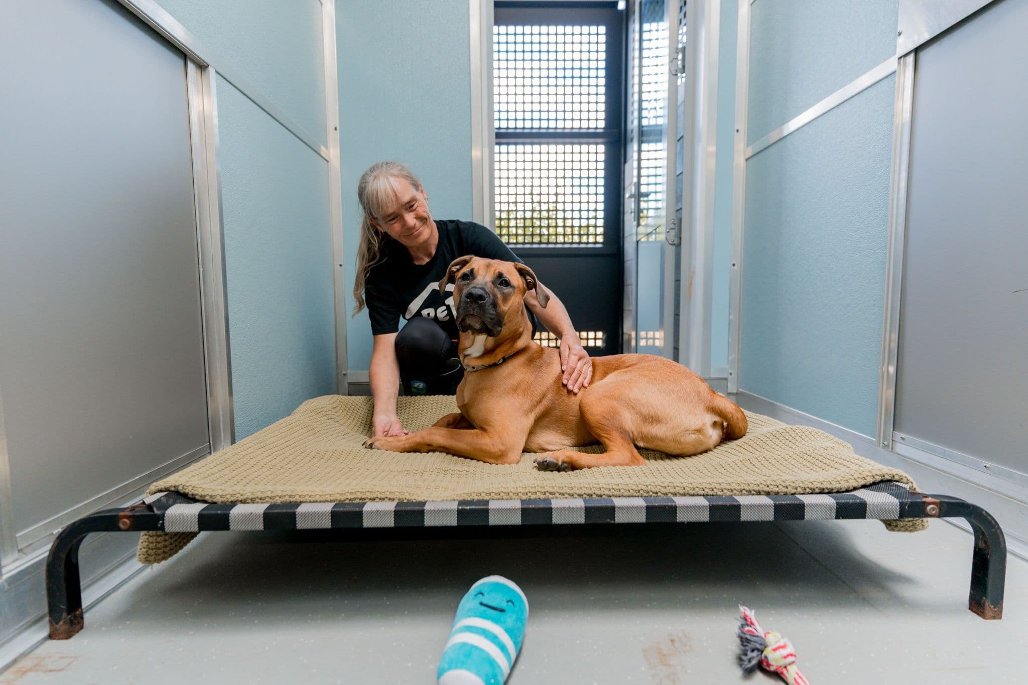 A Pet Refuge shelter attendant gently pats and comforts a dog inside a kennel at the shelter.
