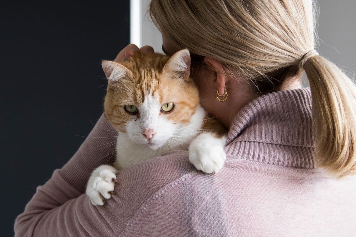 Nylah and smokey the cats with Eleanor