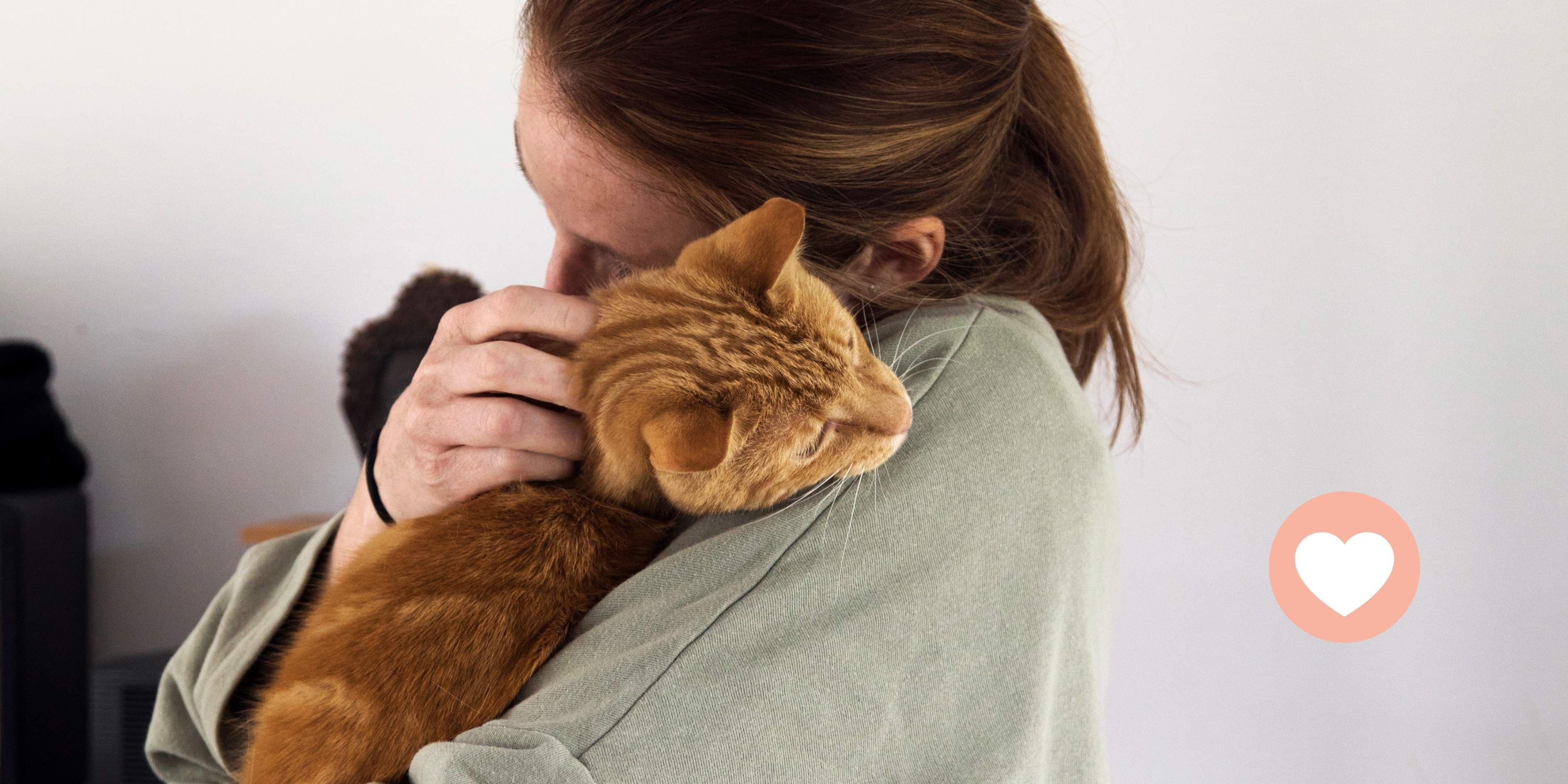 Pet Refuge - Safe Beds for Pets - Reunited Pets