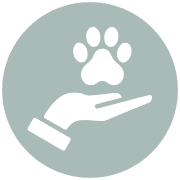 Enrichment to help pets heal at Pet Refuge